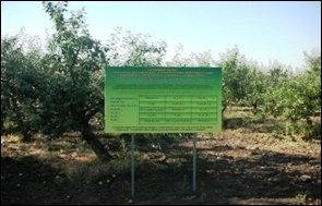 Національне надбання - Унікальна дослідна агроекосистема яблуневого саду УНУС