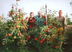 Садівнича практика в Нідерландах за сприяння кафедри плодівництва