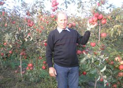 Голова ФГ «Яніс» Анатолій Чорний, Заслужений працівник сільського господарства України в яблуневому саду