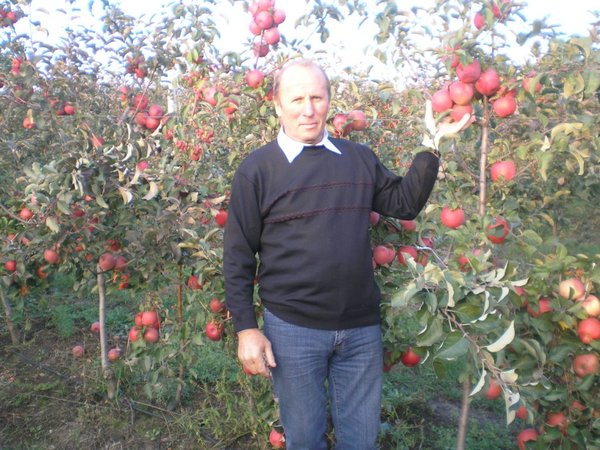 Голова ФГ «Яніс» Анатолій Чорний, Заслужений працівник сільського господарства України в яблуневому саду
