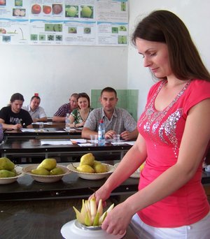 Ольга Дрозд ділить плоди на часточки спеціальним пристроєм
