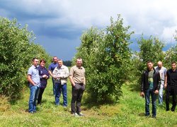 Огляд яблуневого саду в агрофірмі Зоря на Рівненщині