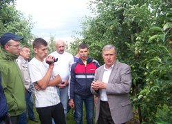 Януш Габрисяк пояснює особливості проріджування зав'язі яблуні