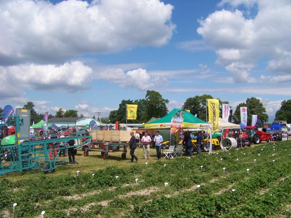 Панорама виставок на Дні саду в польському Інституті плодоовочівництва (на передньому плані ділянка з оцінки нових сортів суниць)
