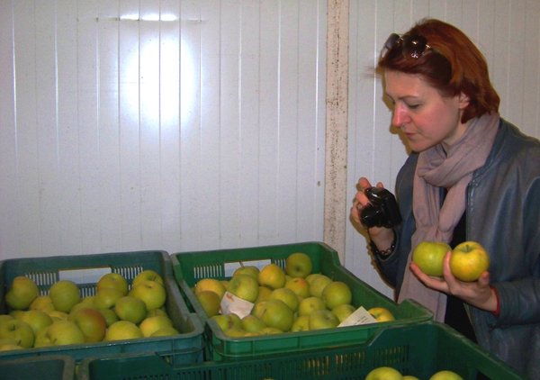 Викладача Юлію Жмуденко зацікавила якість дослідних зразків яблук після зберігання в регульованому газовому середовищі