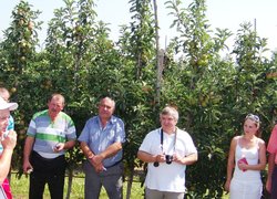 Голова фермерського господарства Роман Кондрацький (крайній зліва) демонструє результати контурного обрізування дерев яблуні
