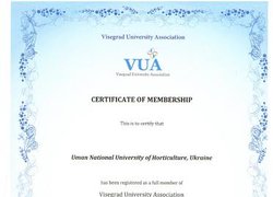 Уманський національний університет садівництва став членом Вишеградської Асоціації університетів