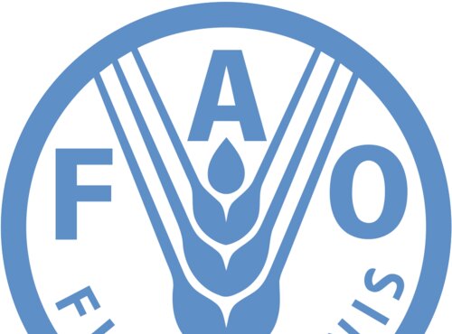 Вакансія агронома у FAO
