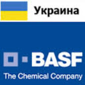 Стажування в компанії BASF