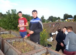 Студенти першого курсу факультету лісового та садово-паркового господарства заклали плантацію з ведмежого горіха