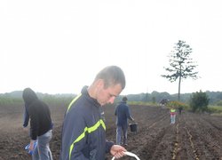 Студенти першого курсу факультету лісового та садово-паркового господарства заклали плантацію з ведмежого горіха