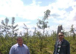 Олександр Фоменко (ліворуч) і Володимир Майборода (праворуч) на фоні яблуневого саду ВАТ "Аграрна компанія 2014"