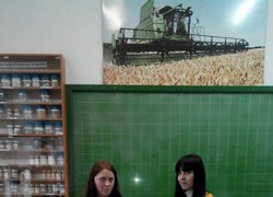 I етап Всеукраїнської студентської олімпіади на кафедрі технології зберігання і переробки зерна