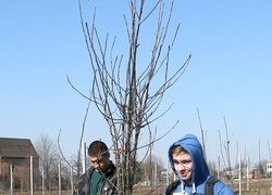 В Уманському НУС закладено яблуневий навчально-дослідний сад