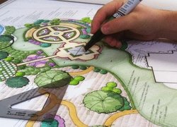 Творчі особистості навчаються на факультеті лісового і садово-паркового господарства