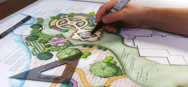 Творчі особистості навчаються на факультеті лісового і садово-паркового господарства
