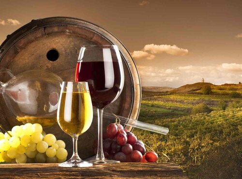Вітаємо з Днем виноградаря і винороба!