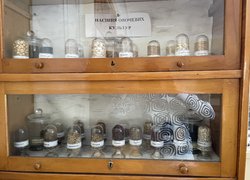 Вікова колекція овочів, що живе в Уманському НУС