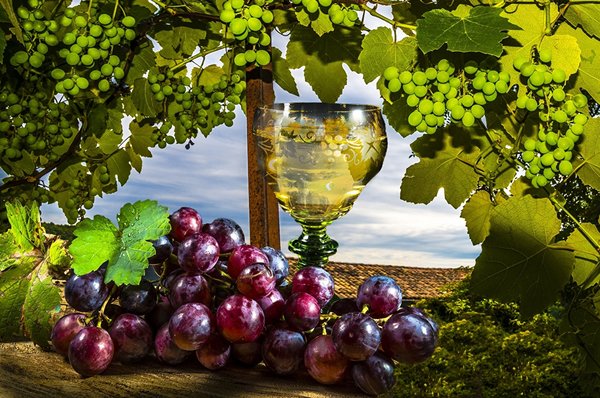 13 листопада - День виноградаря і винороба
