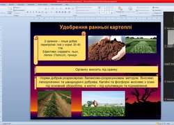 Основи продовольчої безпеки від аграріїв: продовжується серія вебінарів від науковців Уманського національного університету садівництва