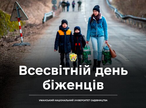 Сила спільноти: Всесвітній день біженців та підтримка українських переселенців