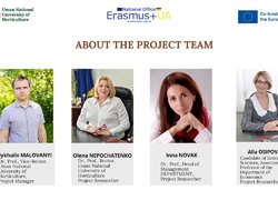 Project team