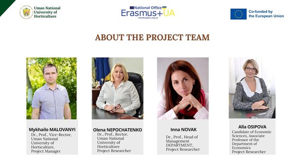 Project team