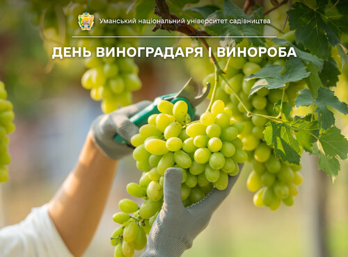 Вітаємо виноградарів і виноробів з професійним святом!