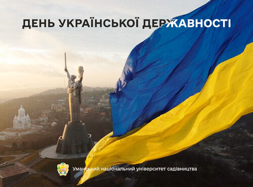 Вітаю з Днем української державності!