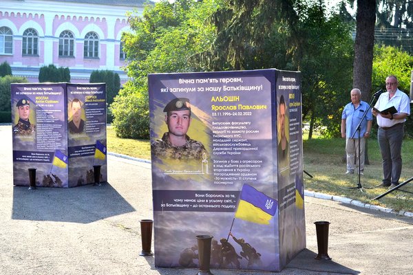 Квітують соняхи на спомин подвигу захисників України