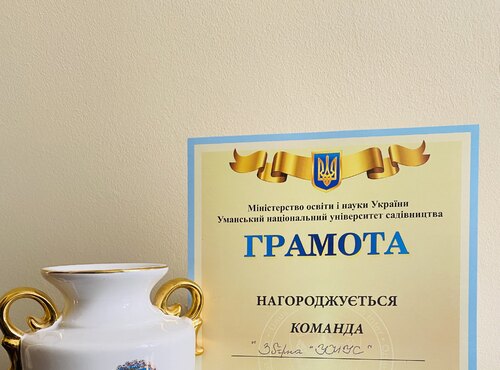 Змагання з волейболу, приурочені Дню Соборності України