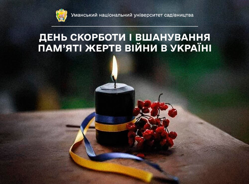 День скорботи і вшанування пам'яті жертв війни в Україні