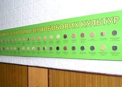 Освітній процес в УНУС очима студентів