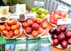 В Уманському національному університеті садівництва відзначили День науки 