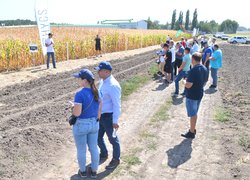 В Уманському НУС вп’яте відбувся Науково-практичний семінар «Ефективні технології вирощування сільськогосподарських культур»