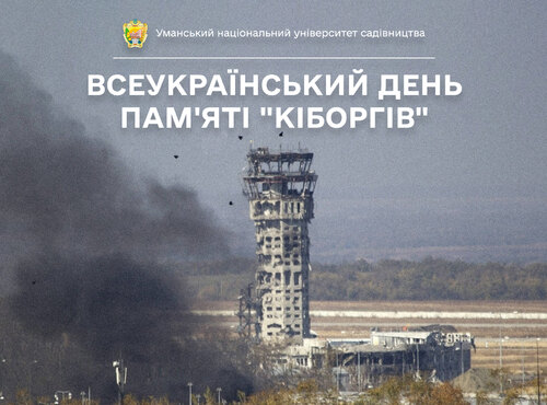 16 січня — День пам'яті «кіборгів» в Україні