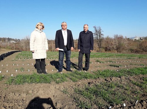 Інспектування ділянок озимих культур