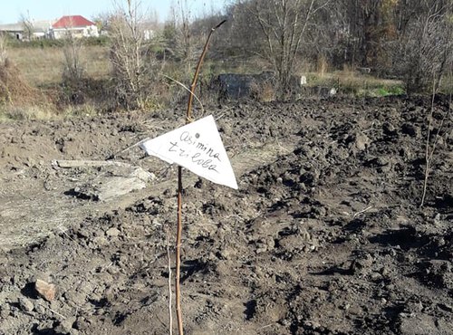 Закладання ділянки садженців нетрадиційних плодових культур