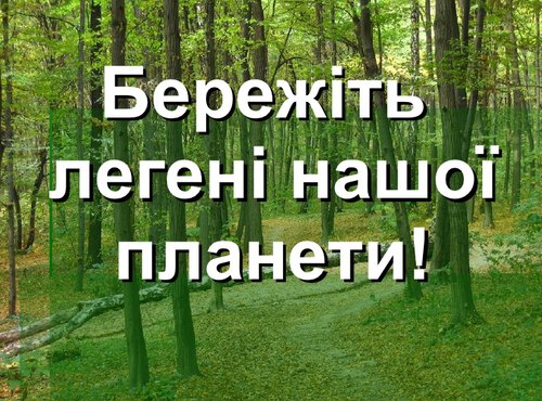 Ліс – легені нашої планети