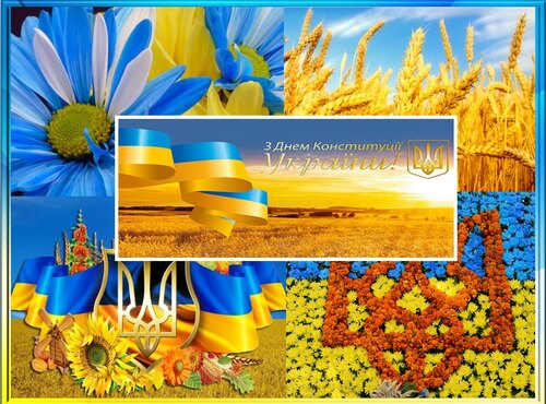 Книжкова виставка до Дня Конституції України "Слава і воля України"