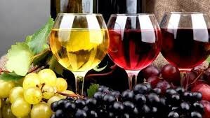 Історія та перспективи розвитку виноградарства та виноробства в Україні