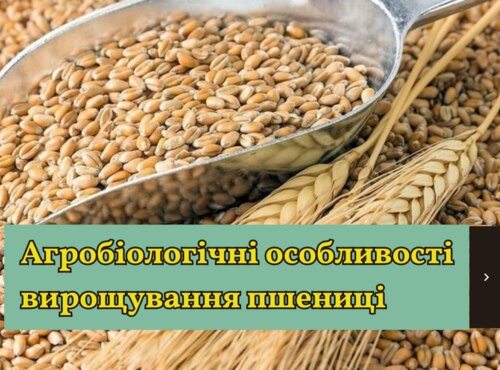Книжкова виставка «Агробіологічні особливості вирощування пшениці»