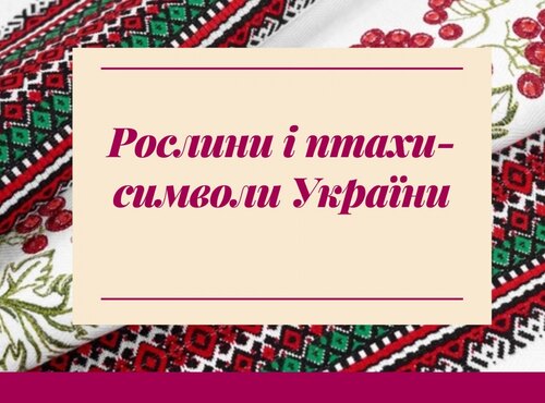 Українська вишивка – символ єдності та національної гордості