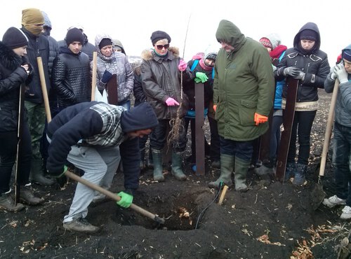 Студенти Уманського НУС взяли участь у закладання горіхового саду на Жашківщині