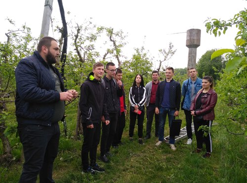 На практичному занятті з дисципліни «Сучасні технології в садівництві та виноградарстві» в яблуневому саду голландського типу студенти Уманського НУС розгортали градозахисну сітку