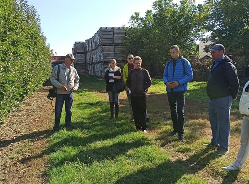 Виїзне практичне заняття з «Післязбиральна доробка плодів, овочів і винограду» та «Сучасні технології садівництва»