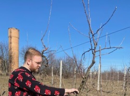 Обрізування дослідних насаджень кафедри плодівництва і виноградарства