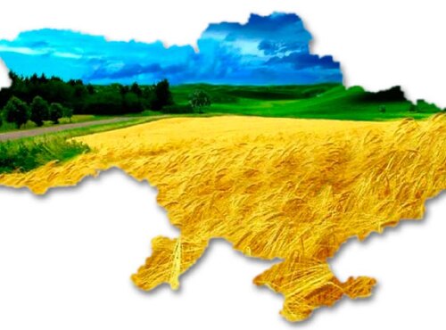 Основною допомогою ЄС для аграрного сектору України стане перегляд експортних квот і їх максимальне скорочення