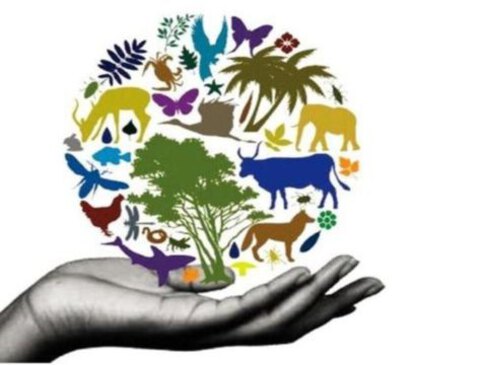 Міжнародний день біологічного різноманіття!