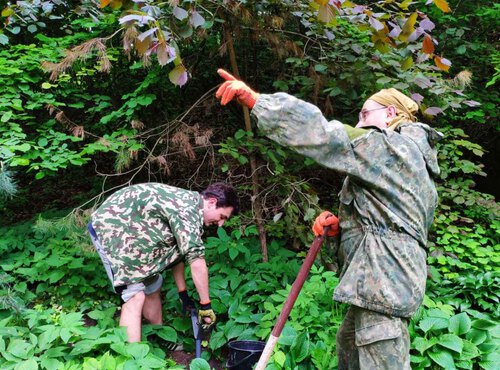 Наукова співпраця із Національним дендрологічним парком «Софіївка»